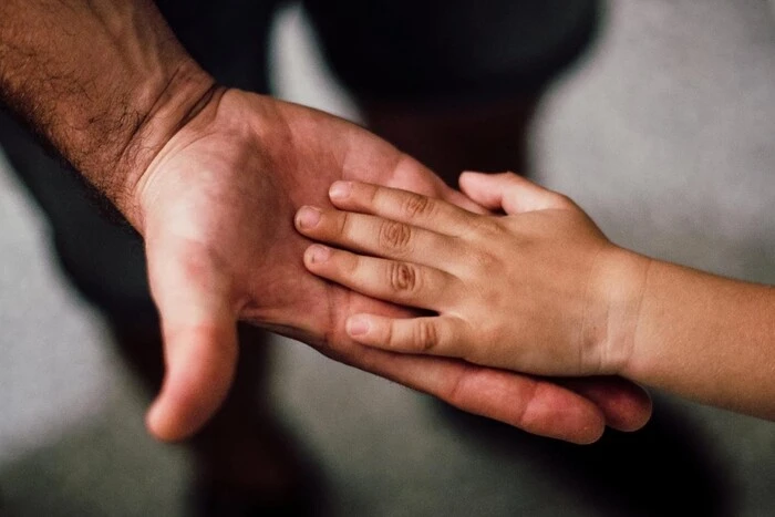 Die Regierung hat es Eltern erlaubt, das Kind vor der Adoption in die Familie zu holen