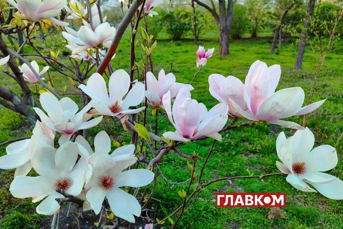 Люди в зимових верхніх одягах