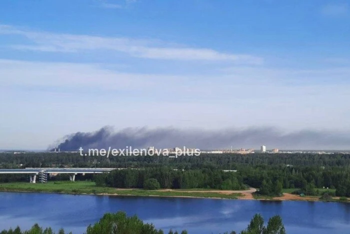 Дрони атакували важливий для окупантів завод у Дубні (відео)