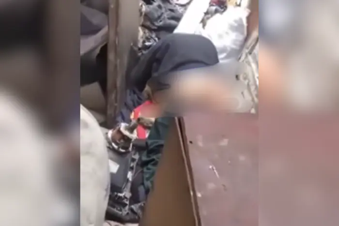 Skandal in der Region Odessa: Polizei ermittelt wegen Vergewaltigung eines Hundes, Beweise sichergestellt