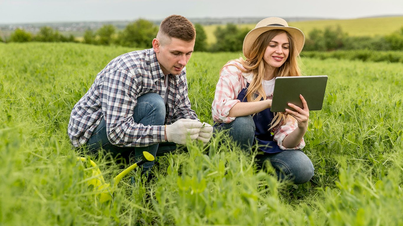 Sale of land plot - what expenses to consider