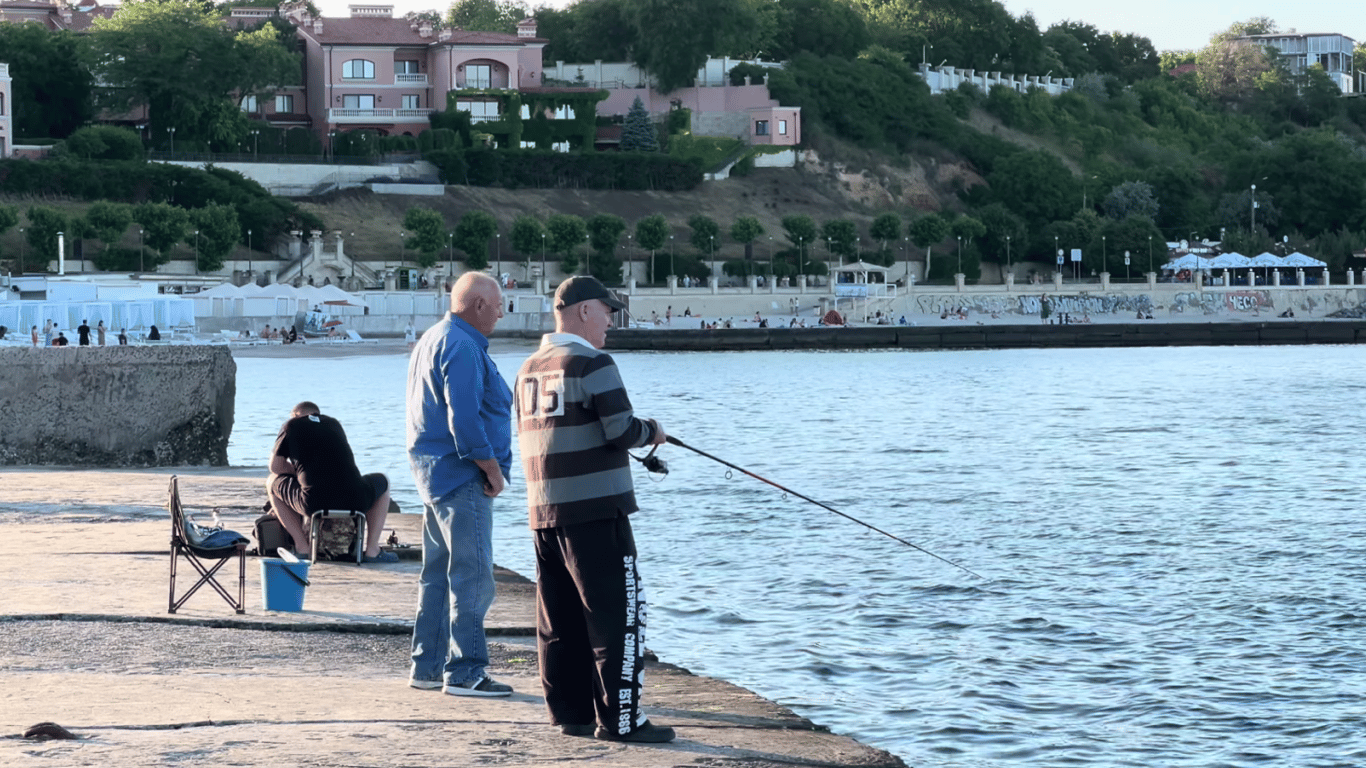 Ekolog ostrzega, czy warto jeść owoce morza z Morza Czarnego